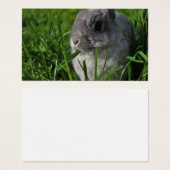 スナック時間 (正面&裏面)