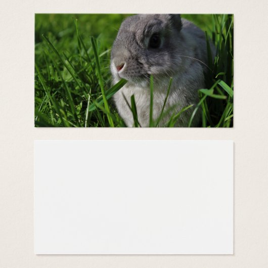 スナック時間 (正面&裏面)