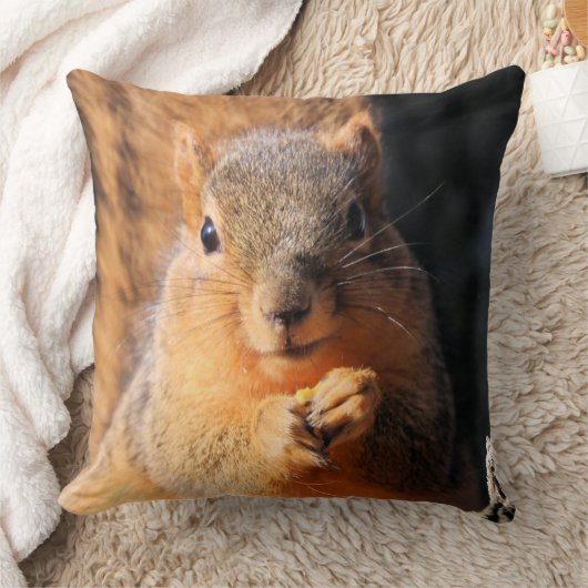 スナック時間 クッション (ブランケット)