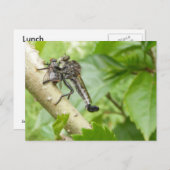 スナック用ハガキ付きのロバーフライ ポストカード (正面/裏面)