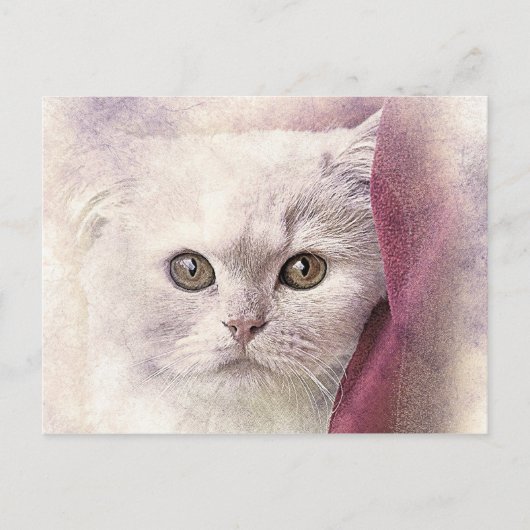 スナッグルタイム子猫 |抽象芸術 |水彩 ポストカード (正面)