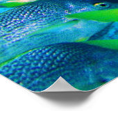 スナッパ派 ポスター (角)