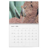 スナップショット カレンダー (3月 2026)