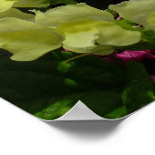 スナップドラゴンとパゴダの花カラフルフローラ ポスター (角)