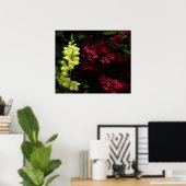 スナップドラゴンとパゴダの花カラフルフローラ ポスター (ホームオフィス)