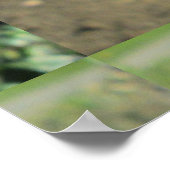 スナップドラゴンイエロー花 ポスター (角)