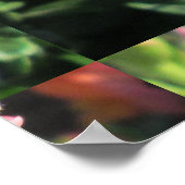 スナップドラゴンピンクの花 ポスター (角)