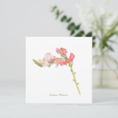 スナップドラゴンフラットカード (スタンド正面)