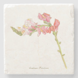 スナップドラゴン ストーンコースター