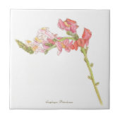 スナップドラゴン  タイル (正面)