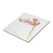 スナップドラゴン  タイル (側面)