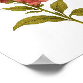 スナップドラゴン – Gracious, decaping ポスター (角)