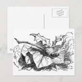 スナップ・ドラゴンフライ ポストカード (正面/裏面)