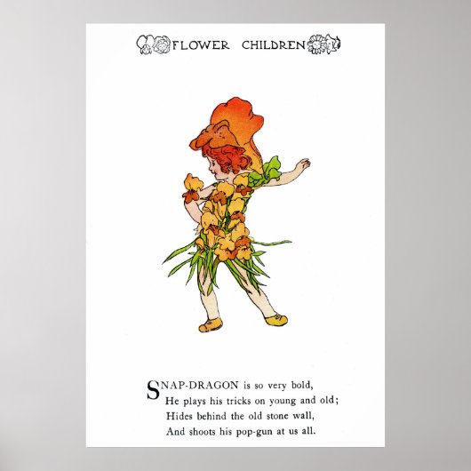 スナップ・ドラゴン ポスター (正面)