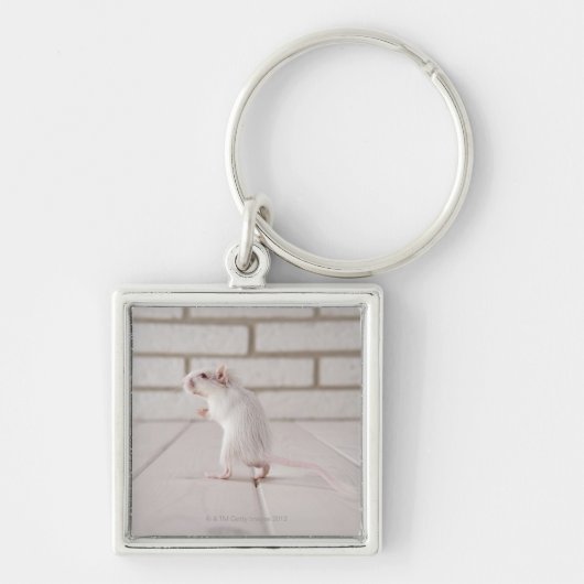 スナネズミの地位 キーホルダー (正面)