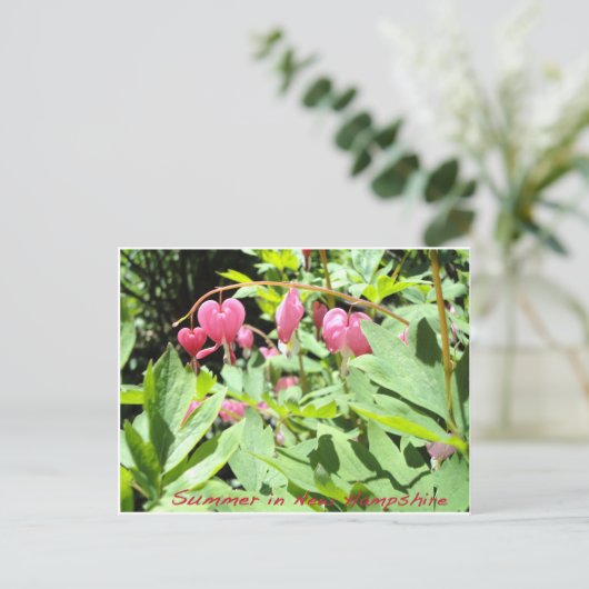 スナピー湖からの挨拶 ポストカード (スタンド正面)