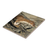 スナフィングウィーゼル タイル (側面)