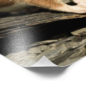 スナフィングウィーゼル フォトプリント (角)