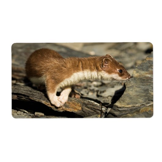 スナフィングウィーゼル ラベル (正面)