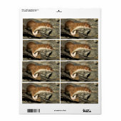 スナフィングウィーゼル ラベル (フルシート)