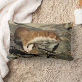 スナフィングウィーゼル ランバークッション (ブランケット)