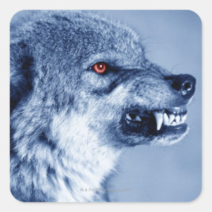 スナリングウルフ(Canis Lupus)、プロフィール(デジタル) スクエアシール