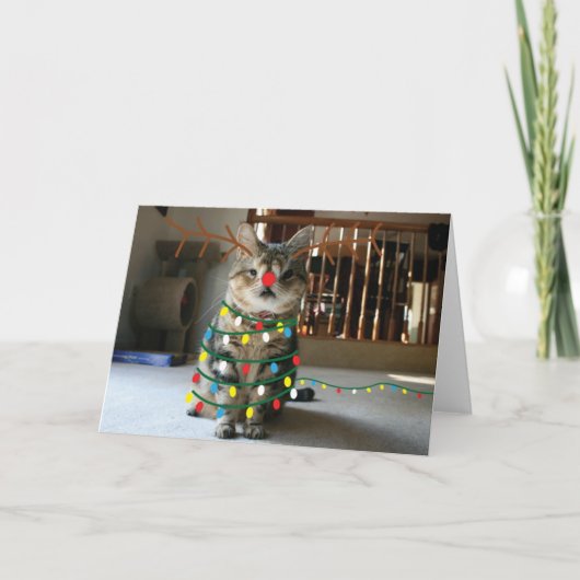 スニジンの挨拶 シーズンカード (正面)