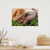 スニッフィングクローバー ポスター (キッチン)