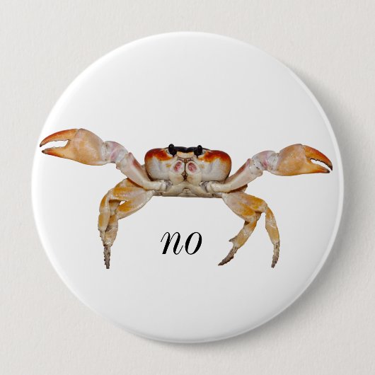 スニップのスナップ 缶バッジ (正面)