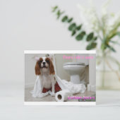 スニフニー槍はがき ポストカード (スタンド正面)