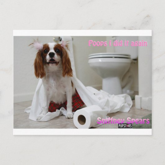 スニフニー槍はがき ポストカード (正面)