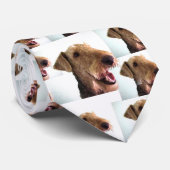 スニーカーAiredaleのタイ ネクタイ (ロール)