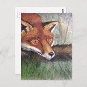 スニークィ・フォックス ポストカード (正面/裏面)