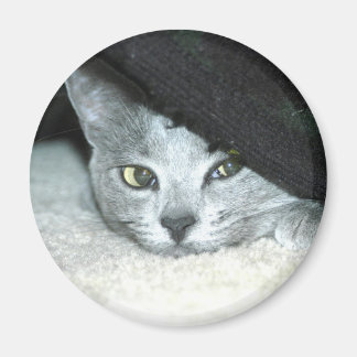 スニークカルマ マグネット