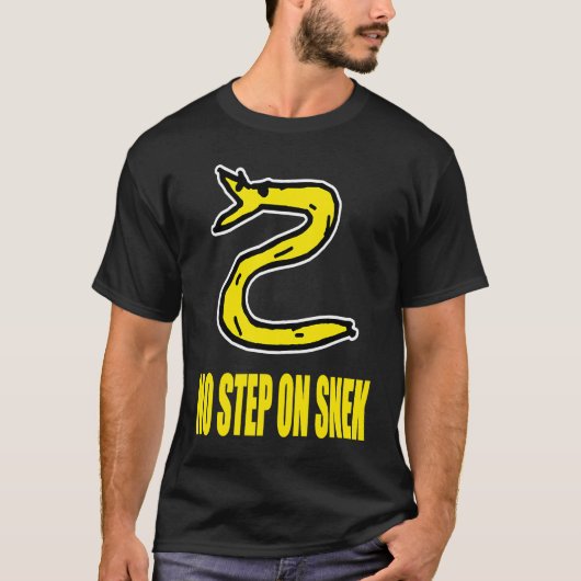 スニーク3のステップなし Tシャツ (正面)