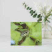 スニーク・スネーク ポストカード (スタンド正面)