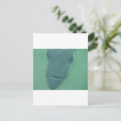 スヌック ポストカード (スタンド正面)