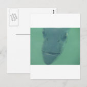 スヌック ポストカード (正面/裏面)