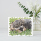 スヌーザー葉書 ポストカード (スタンド正面)