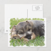 スヌーザー葉書 ポストカード (正面/裏面)