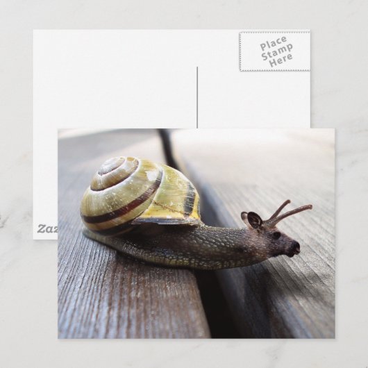 スヌース ポストカード (正面/裏面)