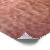 スヌーズの子猫 ポスター (角)