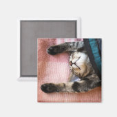スヌーズの子猫 マグネット (正面/裏面)