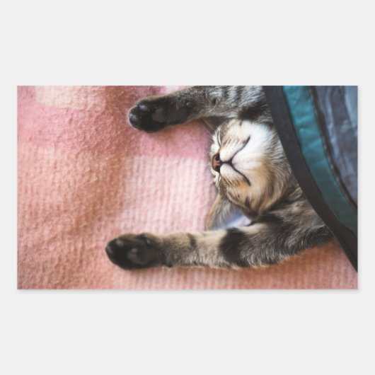 スヌーズの子猫 長方形シール (正面)