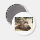 スヌーズ マグネット (正面/裏面)