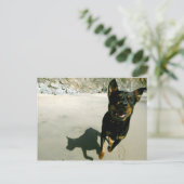 スヌープ ポストカード (スタンド正面)