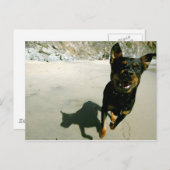 スヌープ ポストカード (正面/裏面)