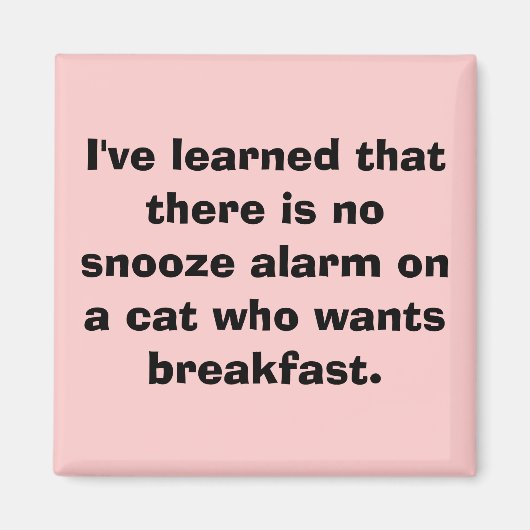 スヌー学ズの警告は無いと… マグネット (正面)