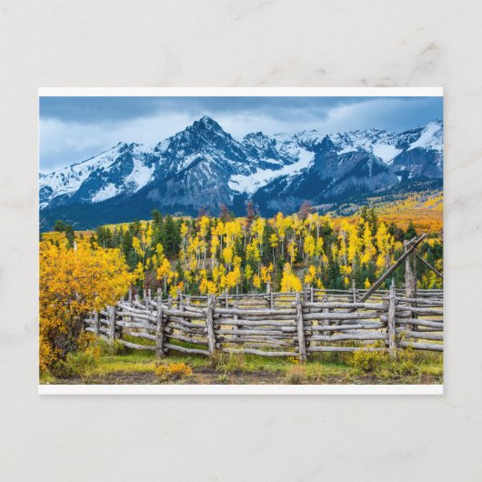 スネフェルズマウンテンコラールインザ秋コロラド ポストカード (正面)