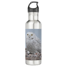 スネルの雪フクロウ